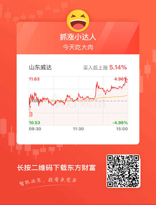 山东威达股票最新消息全面解析