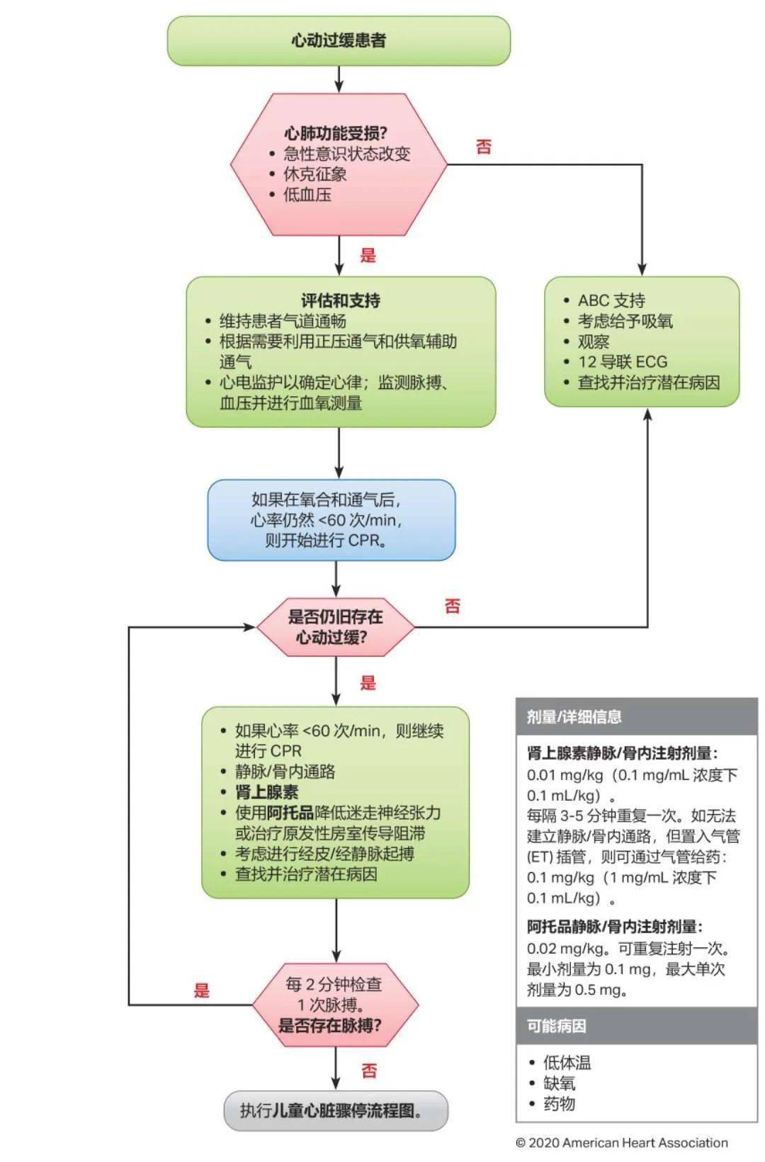 最新版心肺复苏指南，急救医学的新里程碑