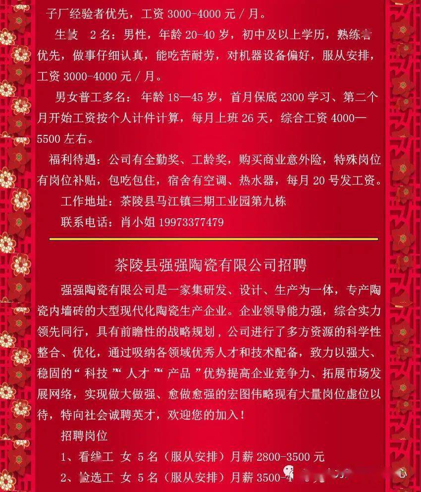 茶陵最新招聘动态及其社会影响分析