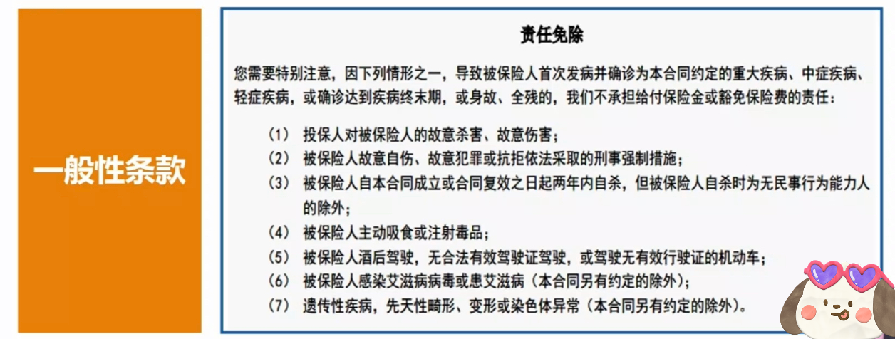 最新保险条款详解，如何理解并选择适合的保险关键要素