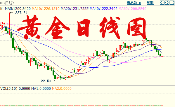 2024正版今晚开特马｜数据解释说明规划