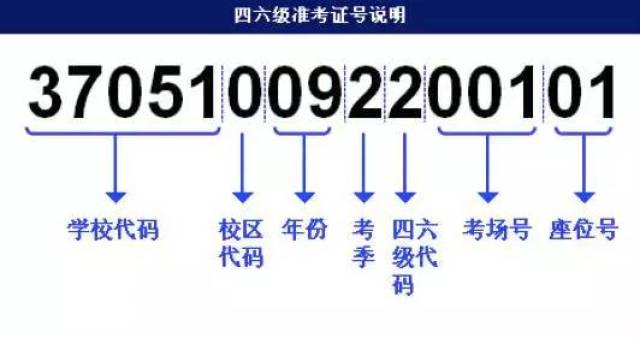 澳门今晚必开一肖1｜最新方案解答